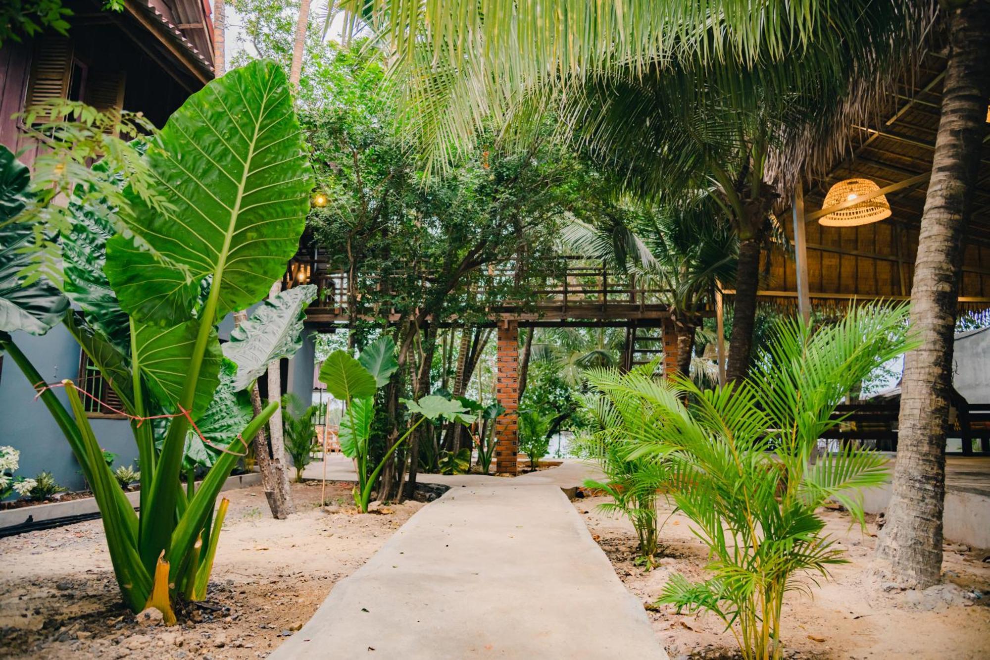 Banyan Tree Hostel Кампот Экстерьер фото