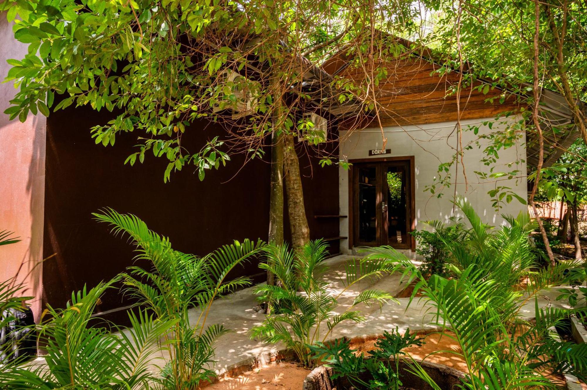 Banyan Tree Hostel Кампот Экстерьер фото