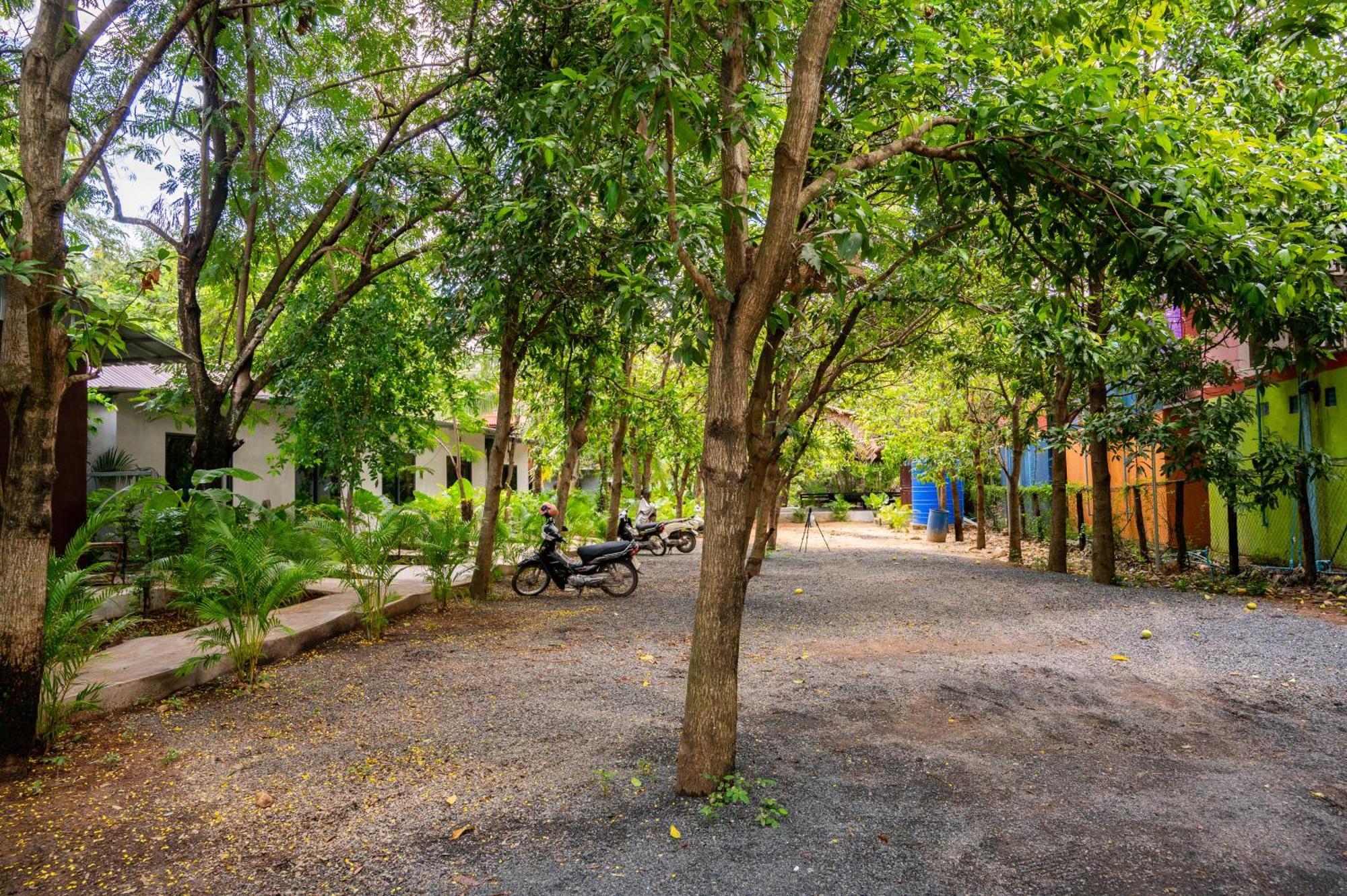 Banyan Tree Hostel Кампот Экстерьер фото