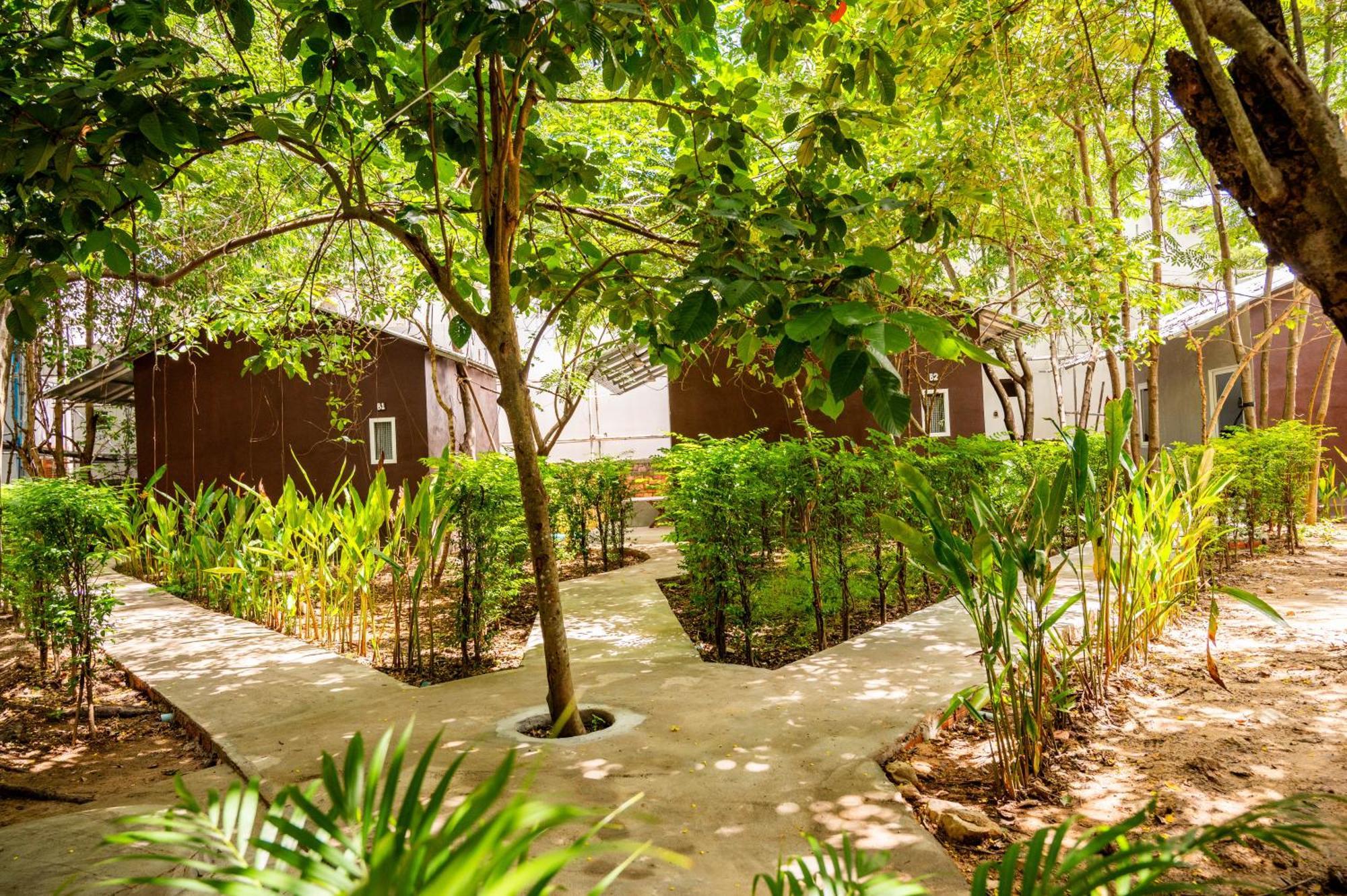 Banyan Tree Hostel Кампот Экстерьер фото