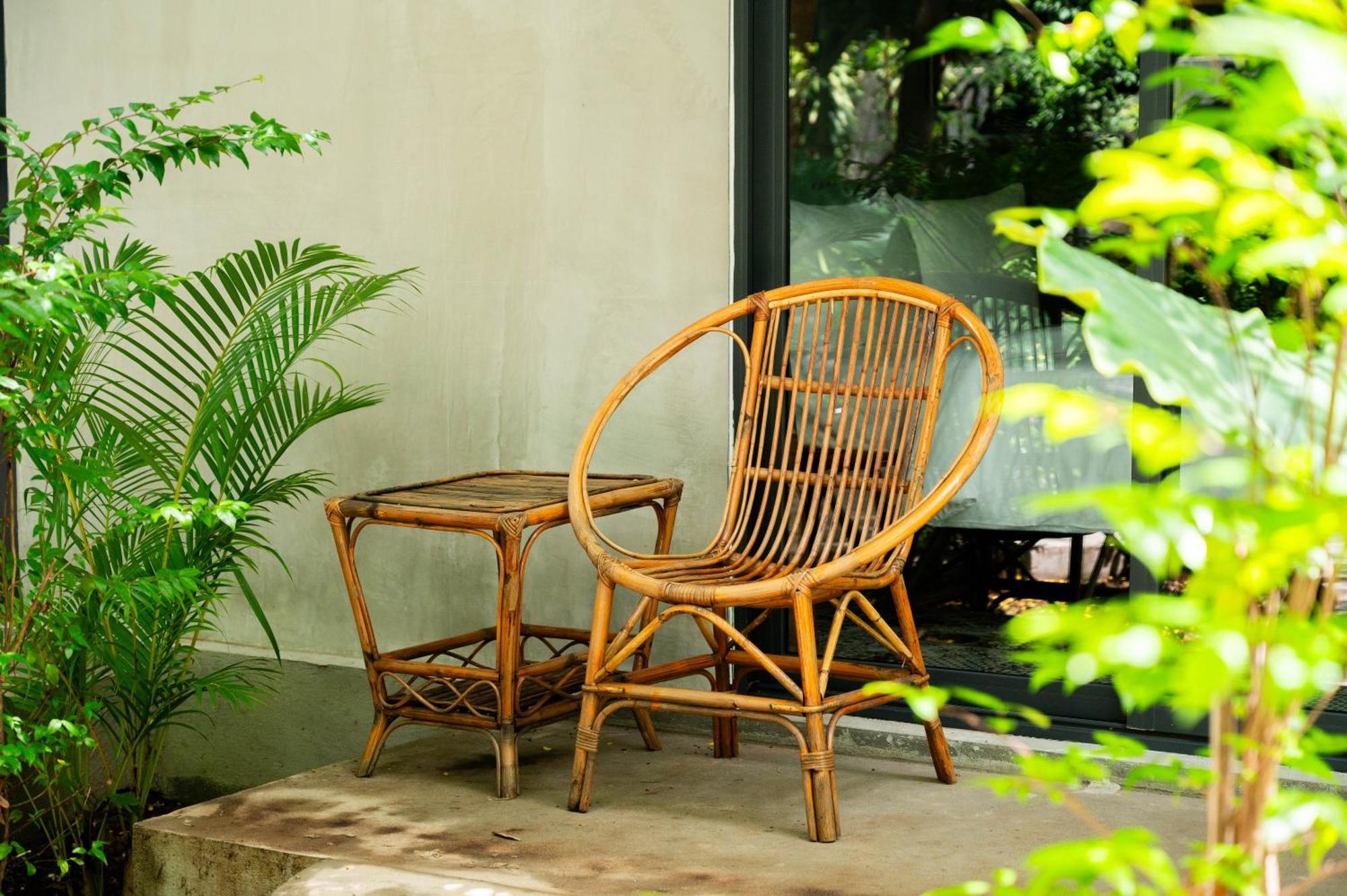 Banyan Tree Hostel Кампот Экстерьер фото